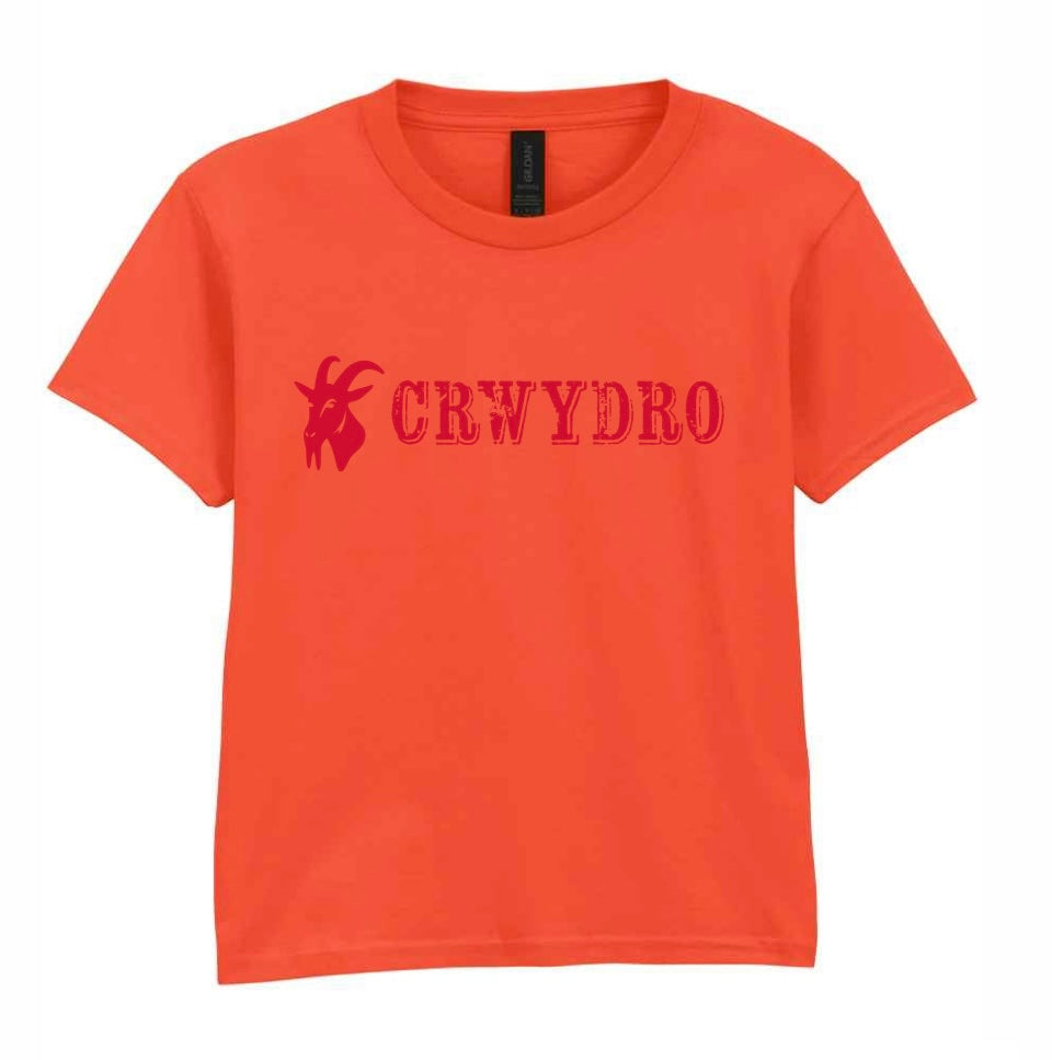 Orange Kids Crwydro (Wanderer) T-Shirt