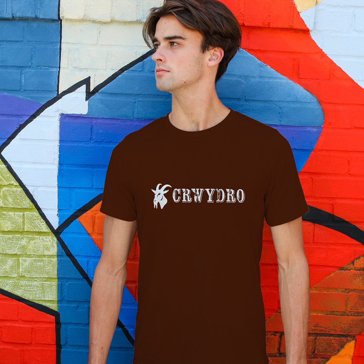 Brown "Crwydro" : "Wanderer" T Shirt