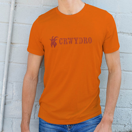 Orange "Crwydro" : "Wanderer" T Shirt