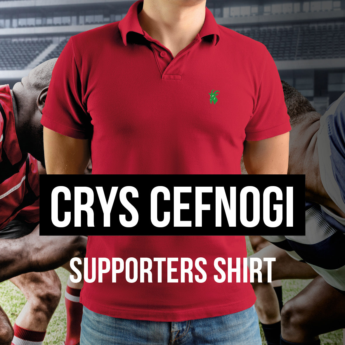 Supporter's Shirt