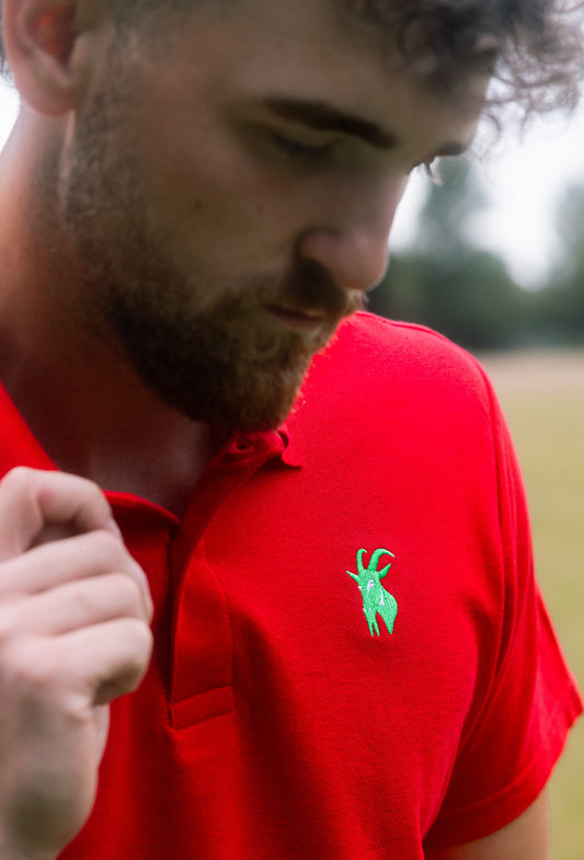 Men's Wales Supporters Polo Shirt