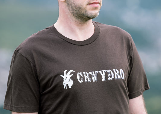 Brown "Crwydro" : "Wanderer" T Shirt